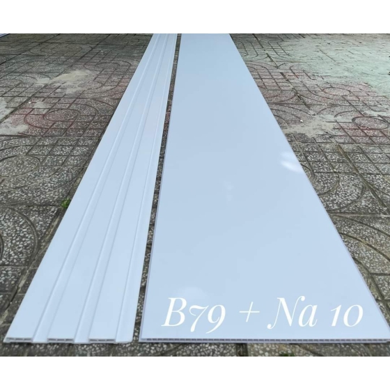 Nhựa tấm ốp nano 
